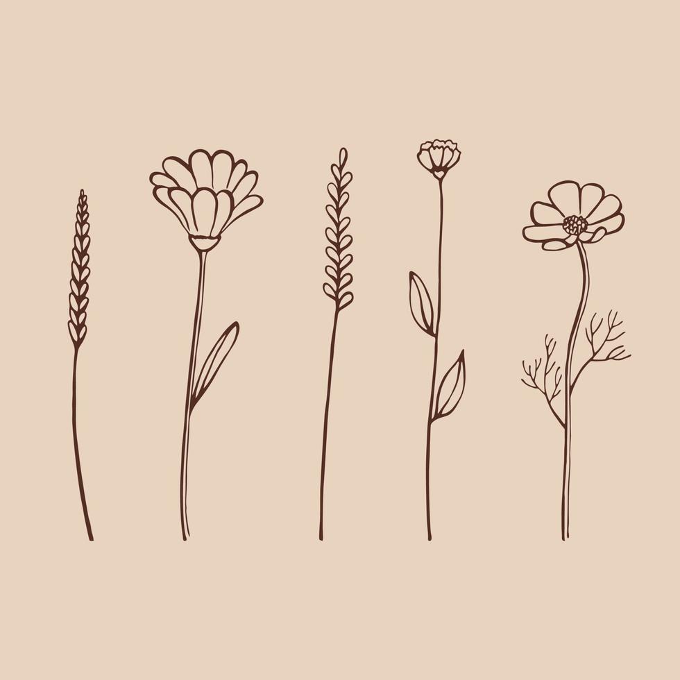 conjunto de ervas e flores silvestres. elementos florais desenhados à mão. ilustração vetorial. vetor