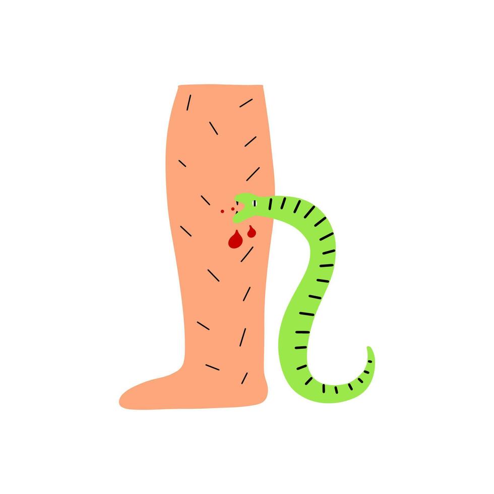 uma cobra venenosa morde a perna de uma pessoa. ilustração vetorial mão desenhada. vetor