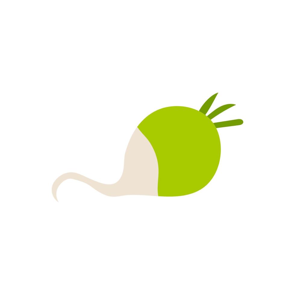 rabanete verde dos desenhos animados isolado. ilustração em vetor estoque de um rabanete verde. um vegetal de raiz útil da família do repolho em um fundo branco.