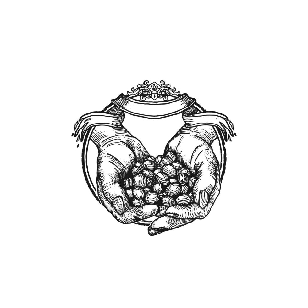 mãos segurando grãos de café com ilustração vetorial de ornamentos. isolado no fundo branco. desenho realista de mão bonita vetor