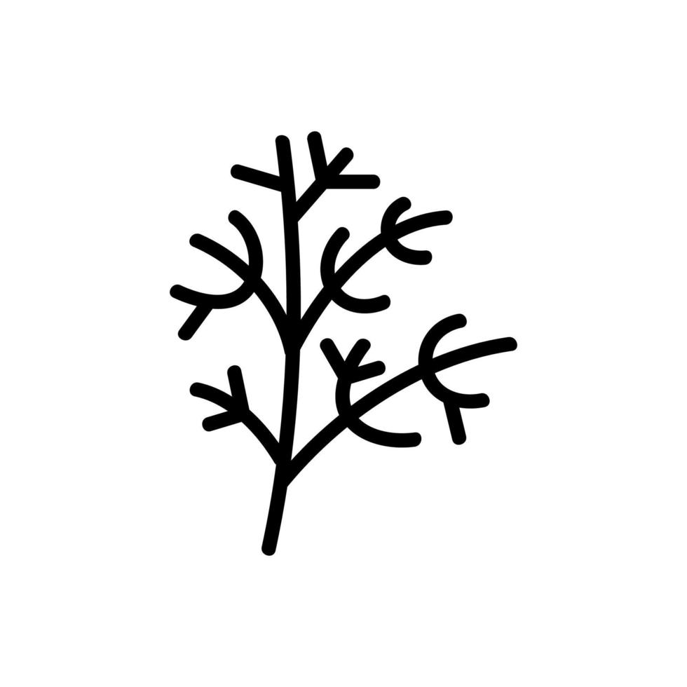 raminho de ilustração de contorno de vetor de ícone de erva-doce