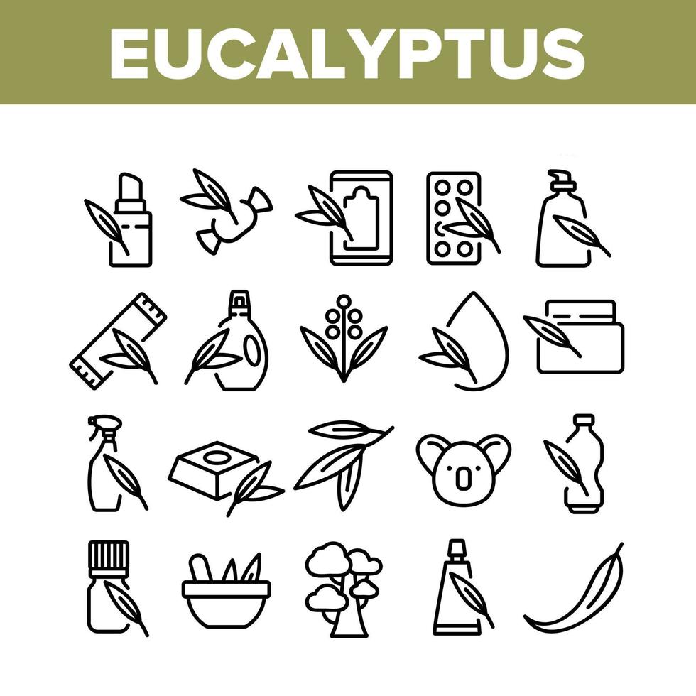 conjunto de ícones de coleção de folhas de ervas de eucalipto vetor