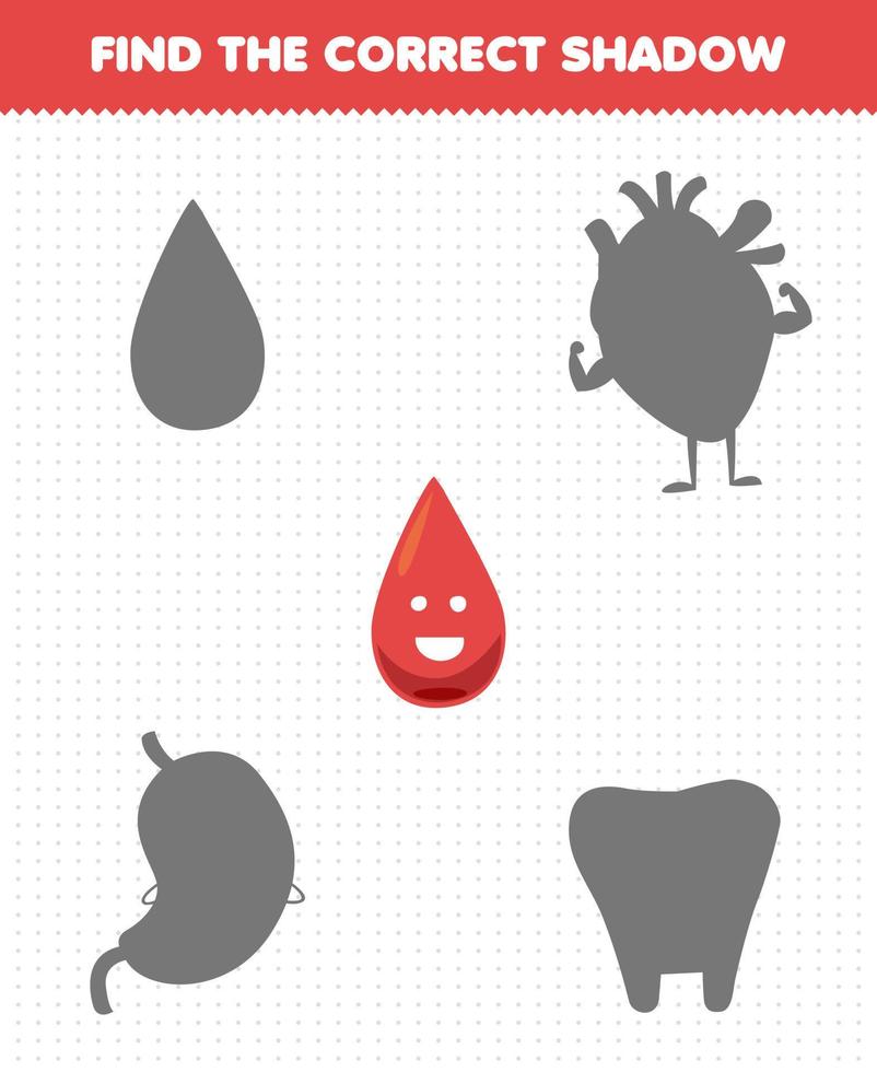 jogo de educação para crianças encontre o conjunto de sombras correto de sangue de órgão humano bonito dos desenhos animados vetor