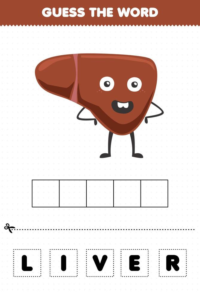 jogo de educação para crianças adivinhar as letras da palavra praticando fígado de órgão interno de desenho animado bonito vetor