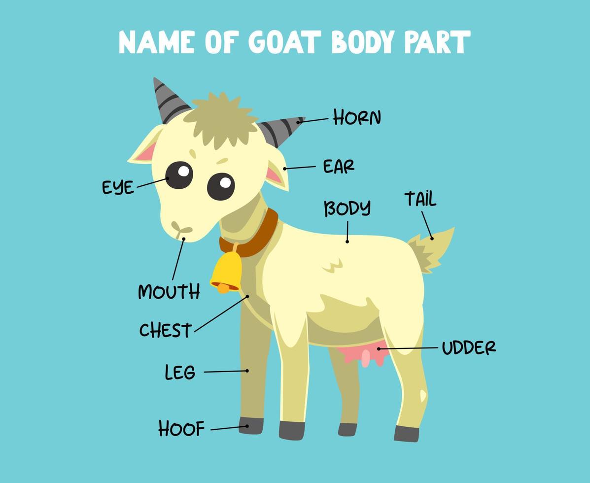 nome da parte do corpo de cabra de desenho animado bonito para crianças em inglês vetor