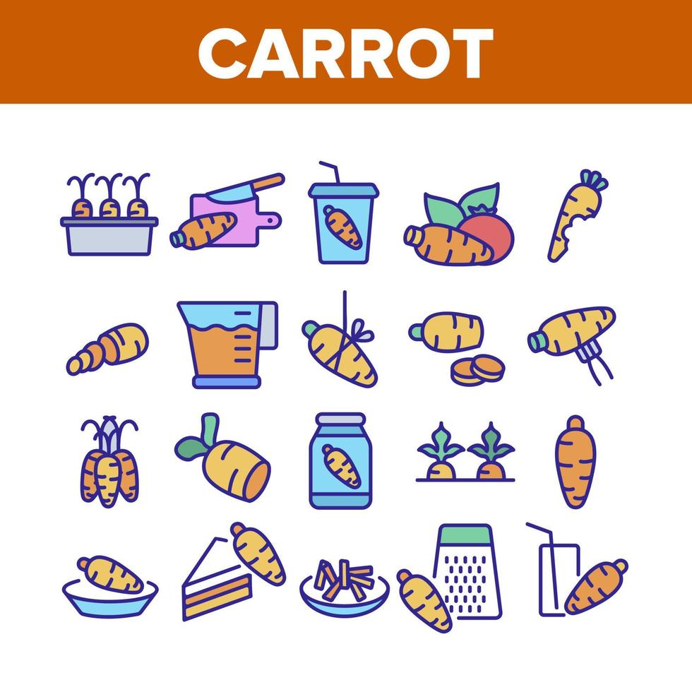 conjunto de ícones de coleção de vegetais bio de cenoura vetor