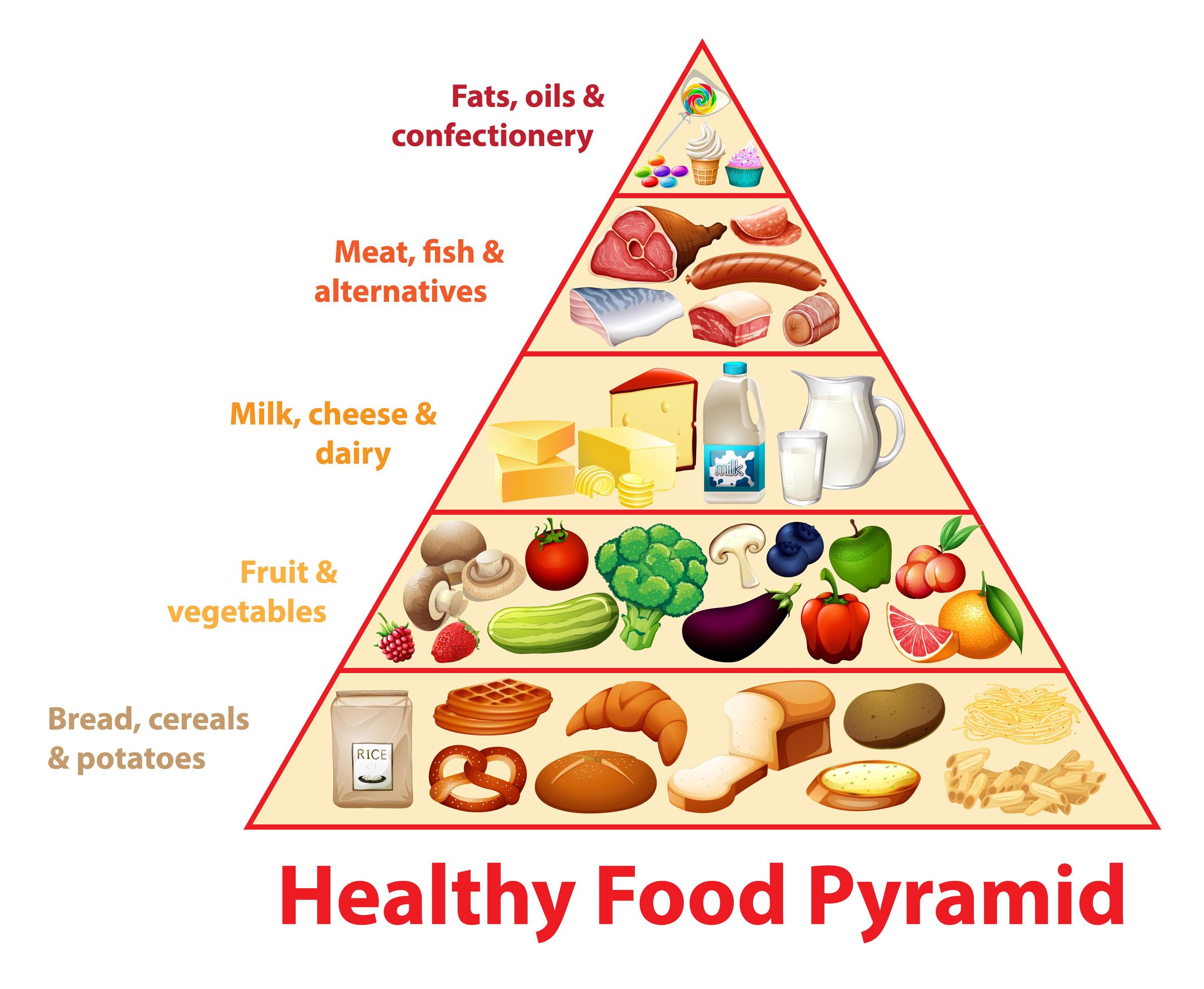 gráfico educacional da pirâmide alimentar saudável 1338065 Vetor no