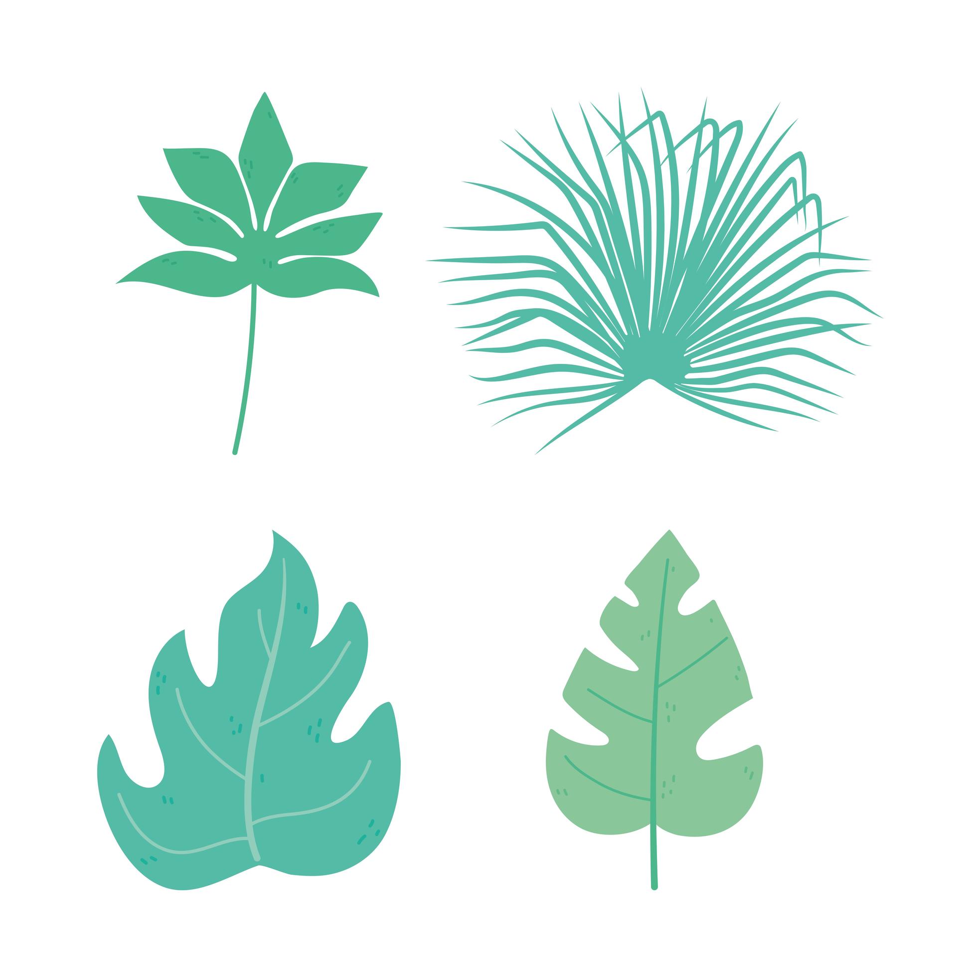 conjunto de ícones de folhas tropicais 2056226 - Download Vetores
