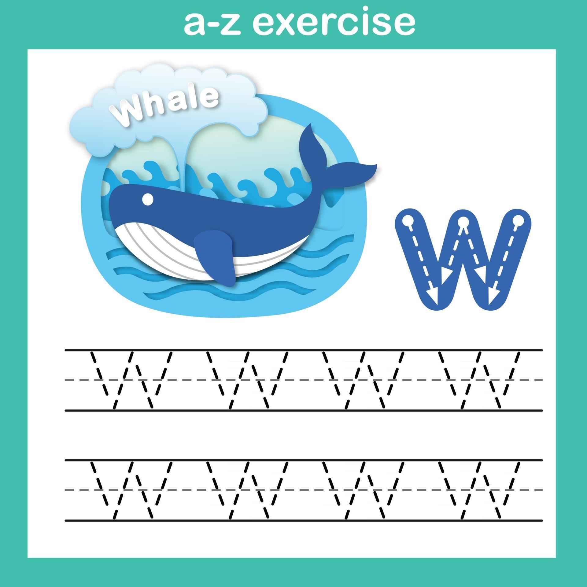 letra do alfabeto exercício baleia w, ilustração vetorial de conceito de corte de papel vetor