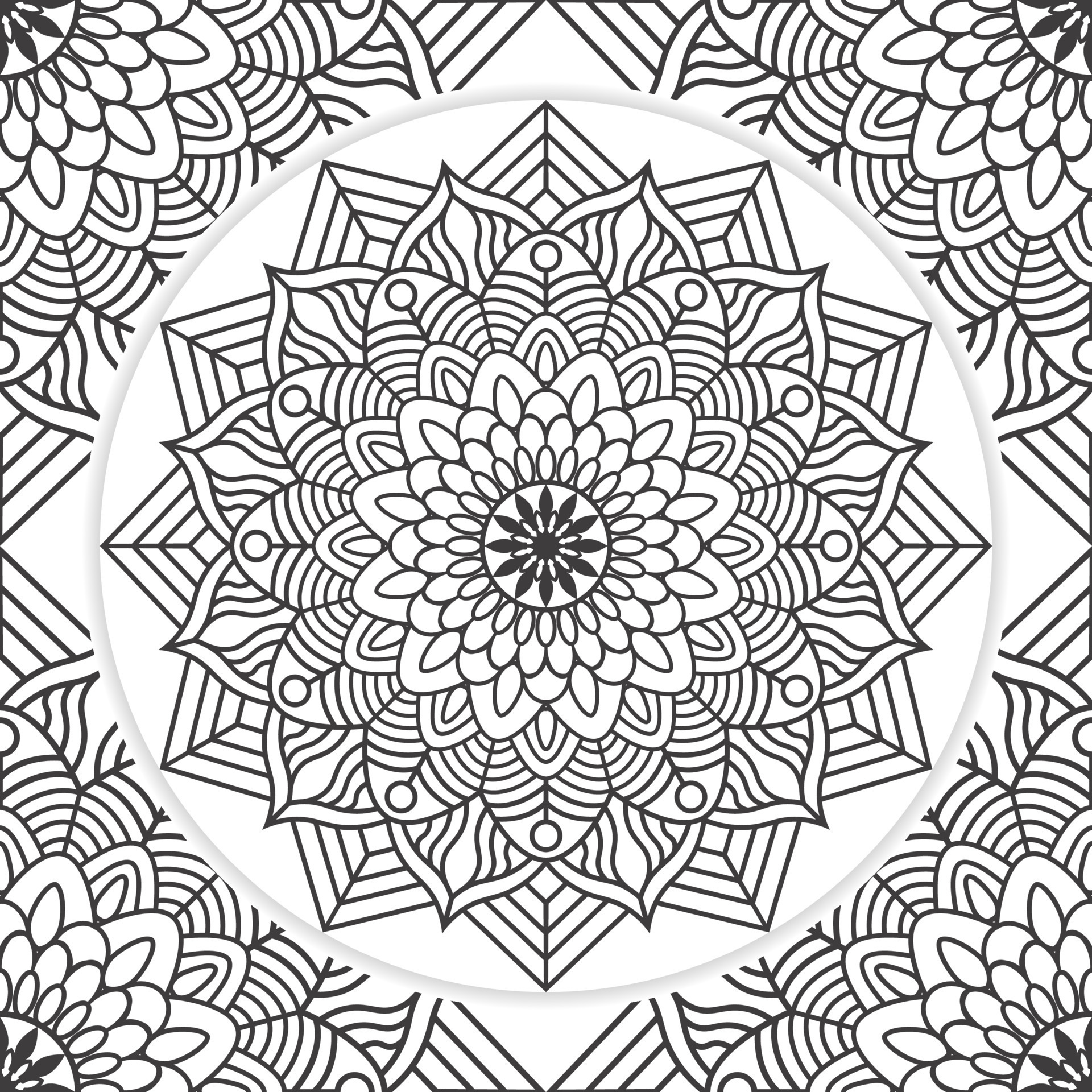 Mandala adulta para colorir kdp interior. mandala para colorir