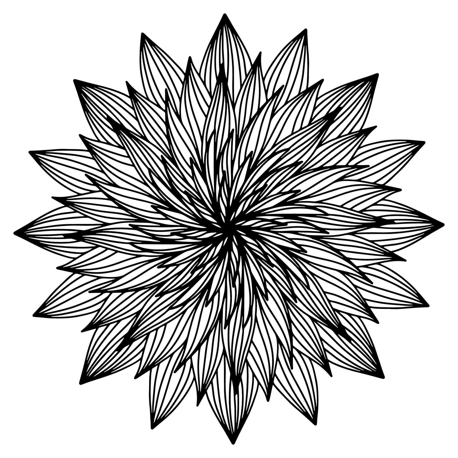 floral, flores de mandala de aster desenhadas à mão em estilo doodle  isolado no fundo branco. página para colorir para adultos e crianças,  decorando a sala de jogos para crianças ou cartão