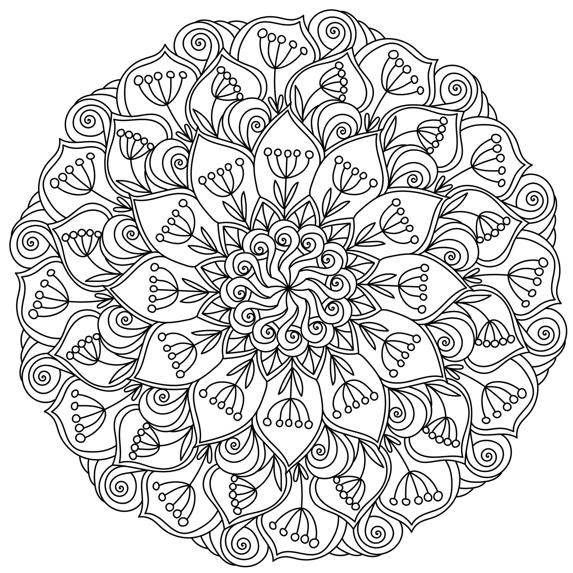 Desenho de Mandala vida vegetal para Colorir - Colorir.com