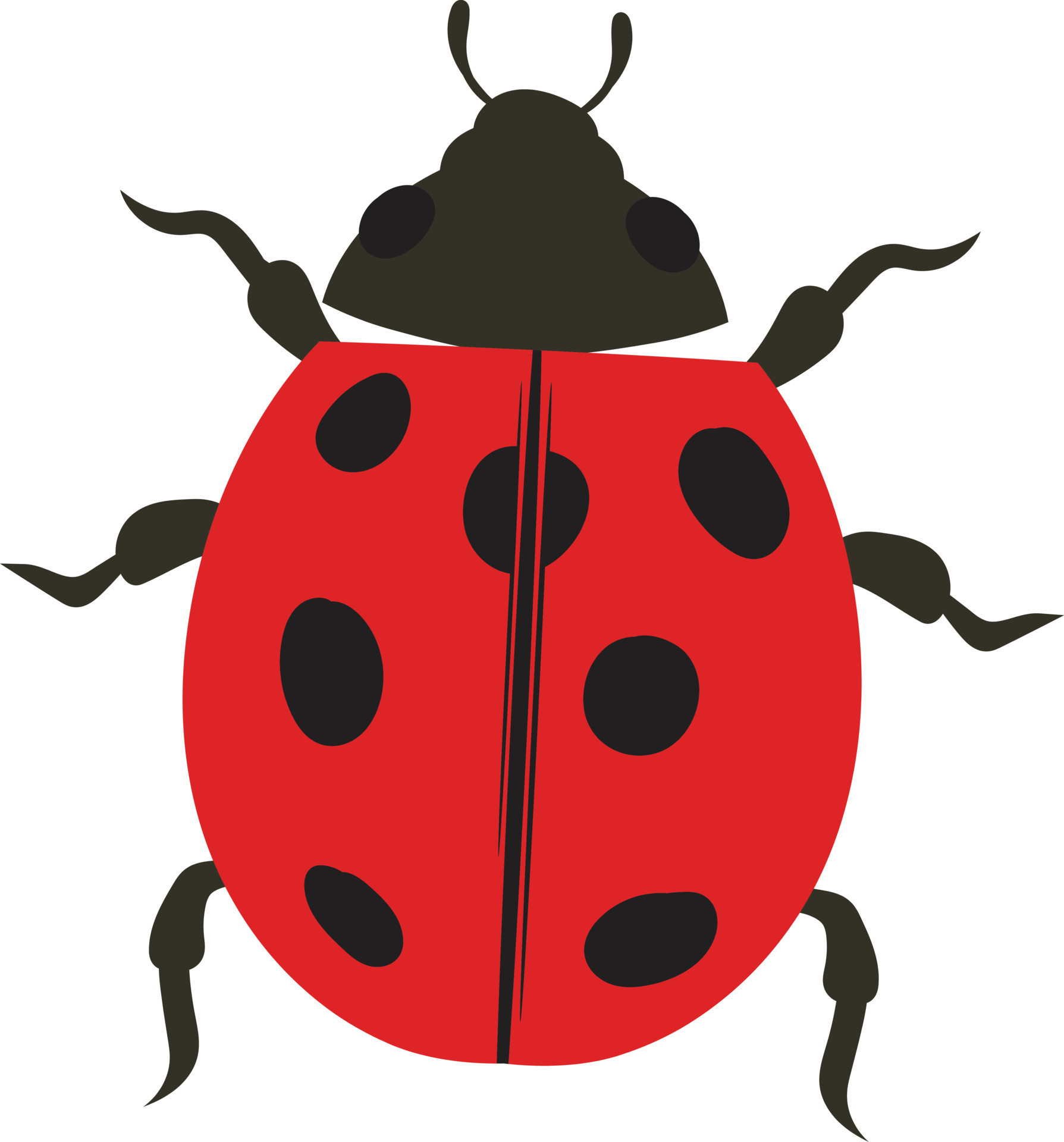 Ilustração Vetorial De Uma Ladybug Ilustração do Vetor - Ilustração de  joaninha, corpo: 198166995