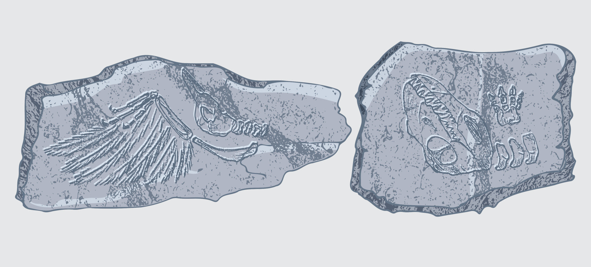 Coleção de dinossauro realista mão desenhada