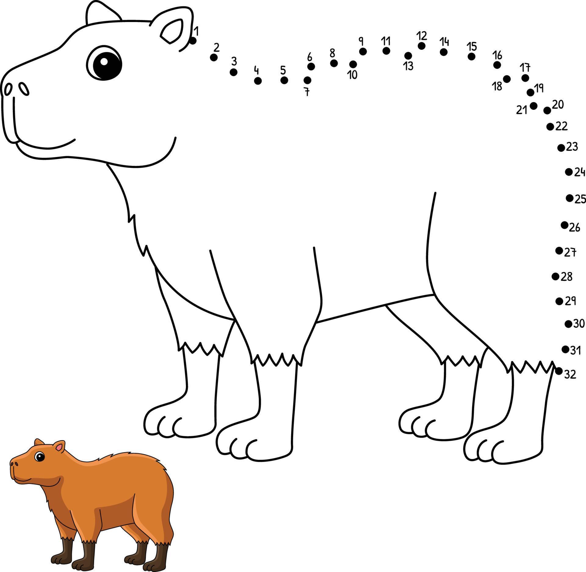 desenho de animal capivara isolado ponto a ponto para colorir