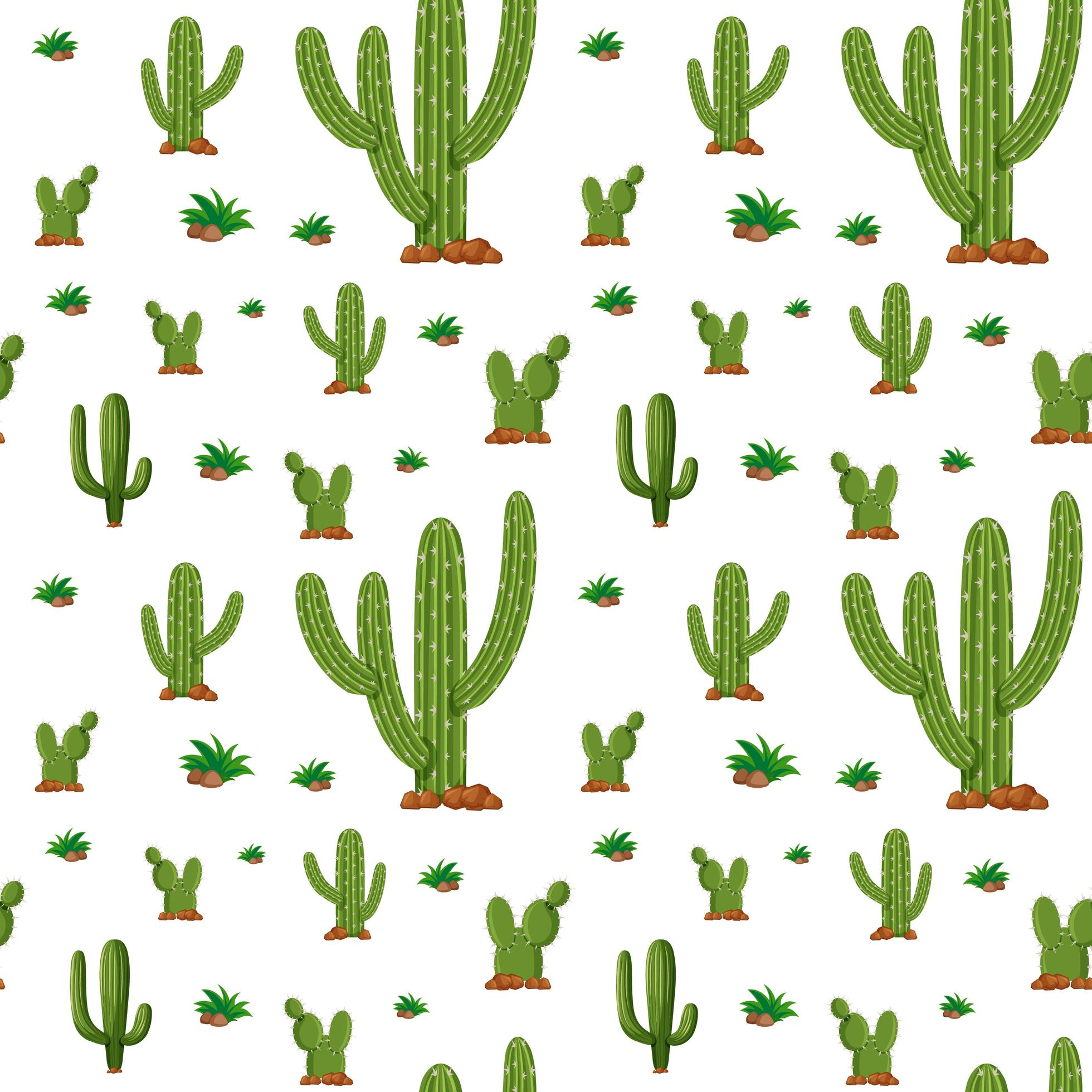 Cactus, Desenho, Coração png transparente grátis