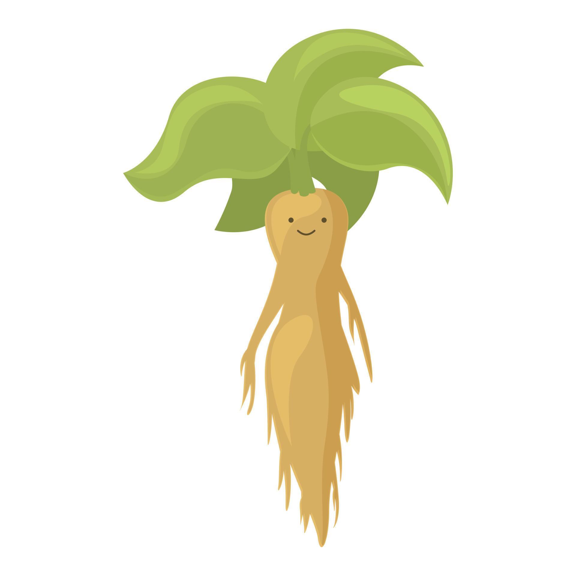 Mandrake personagem ícone desenho animado vetor raiz mágica folha de erva