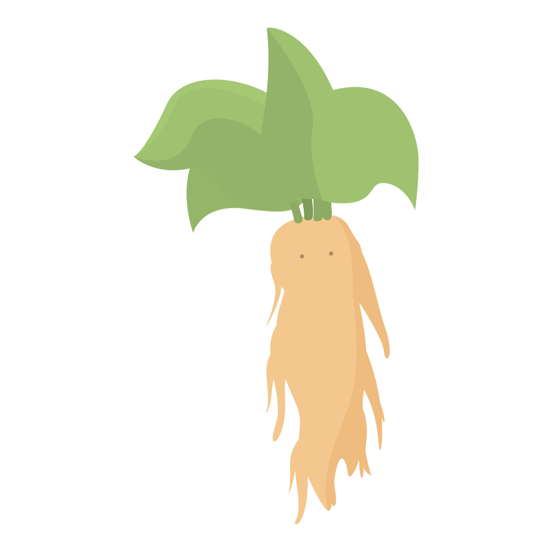 Mandrake personagem ícone desenho animado vetor raiz mágica