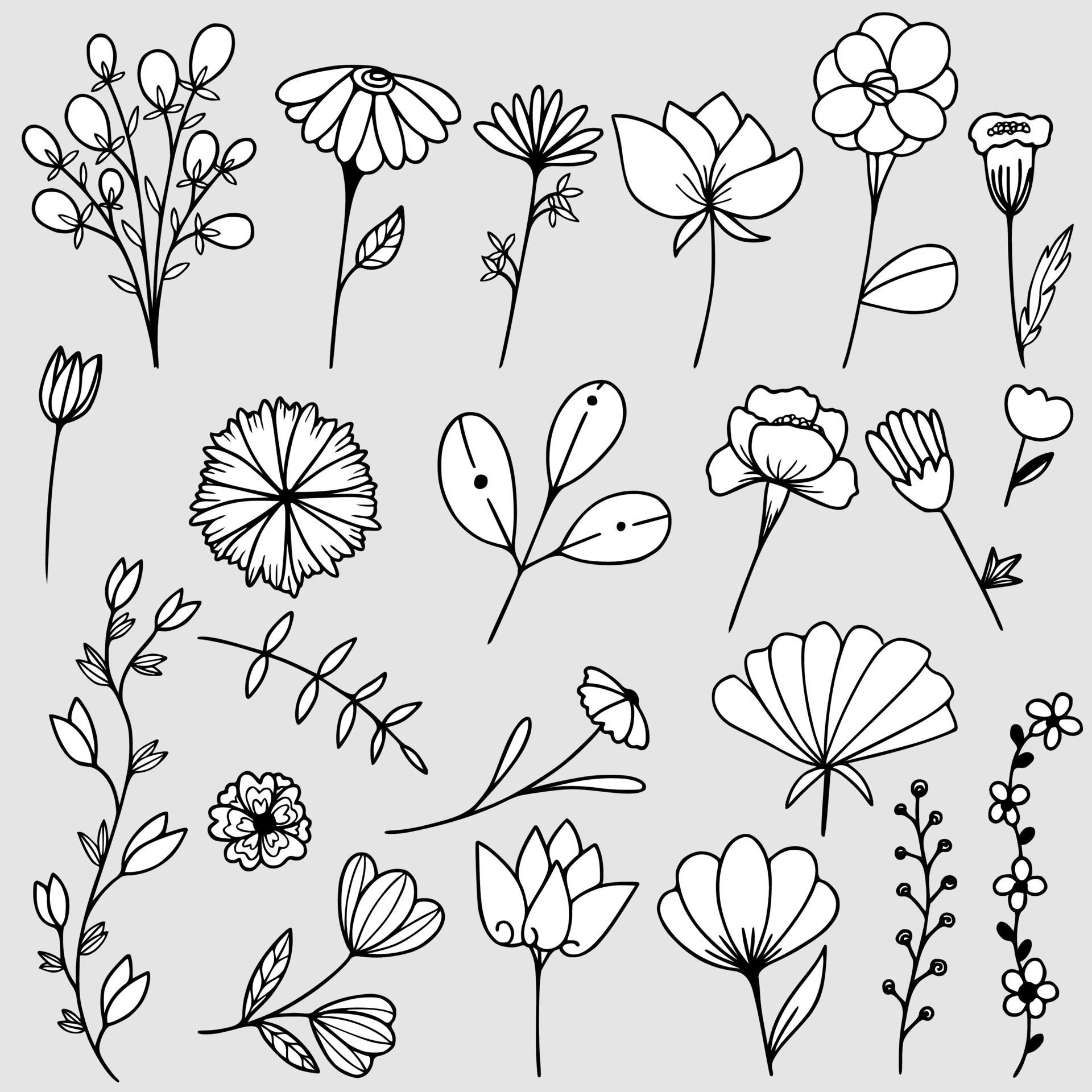 conjunto de desenho vegetal desenhado à mão estilo doodle 2550196 Vetor no  Vecteezy