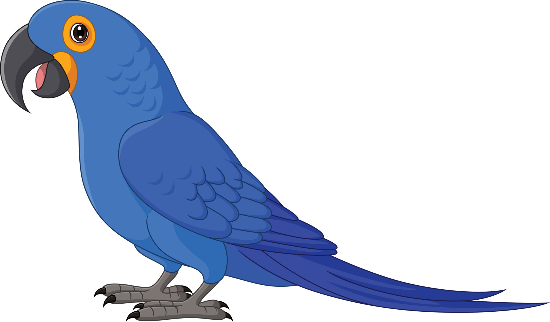 Instagram do zoológico disponibiliza desenho de arara-azul para imprimir e  colorir