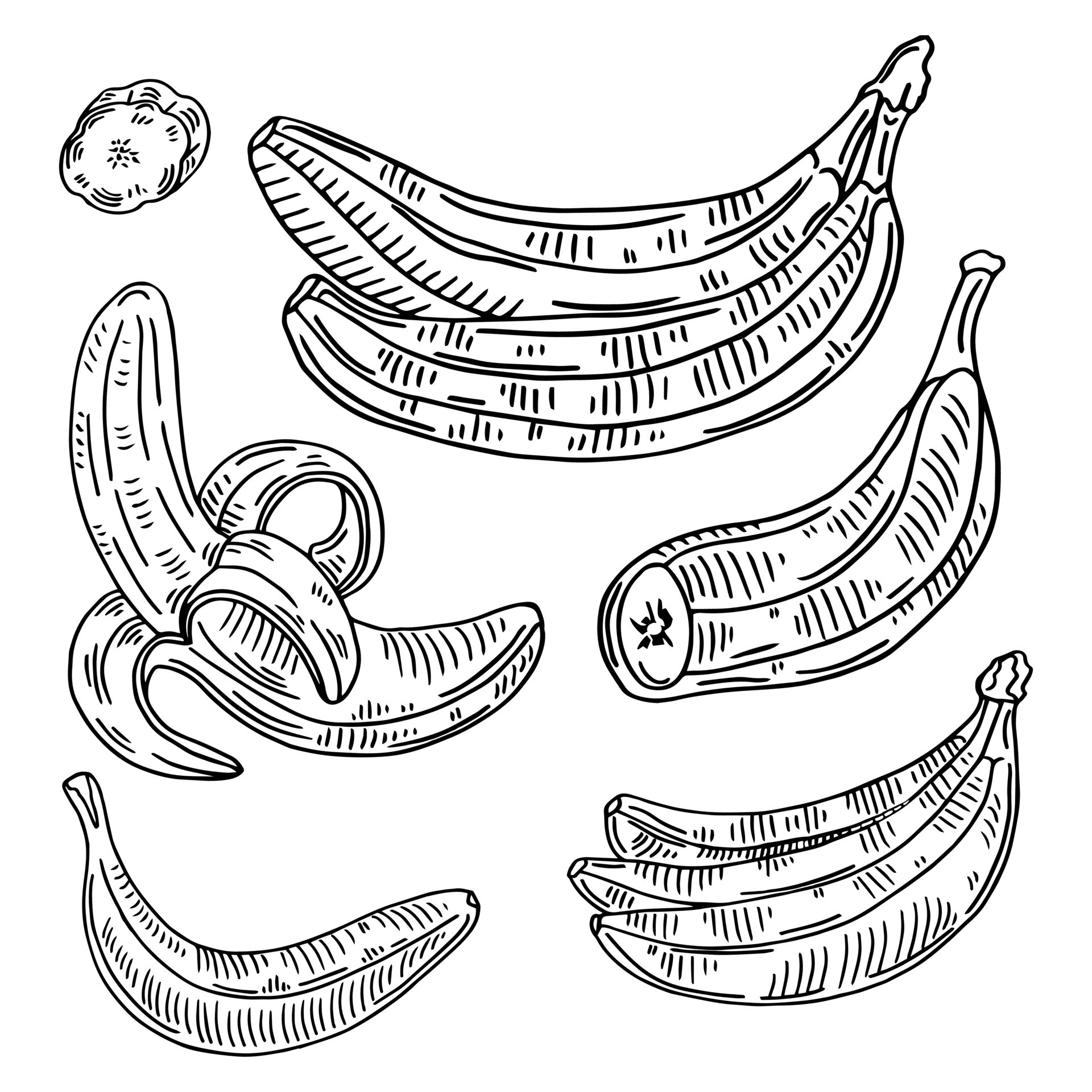 Um desenho de bananas com a palavra banana