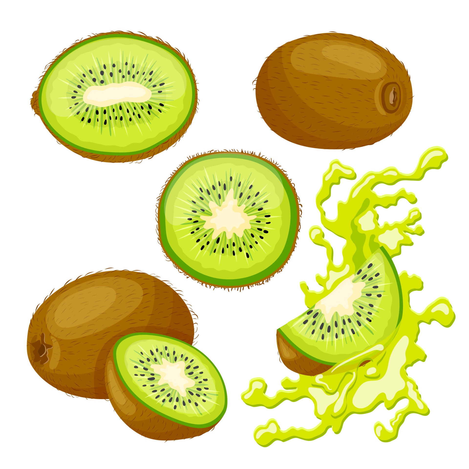 ilustração em vetor desenho animado conjunto verde de fruta kiwi 17589951  Vetor no Vecteezy