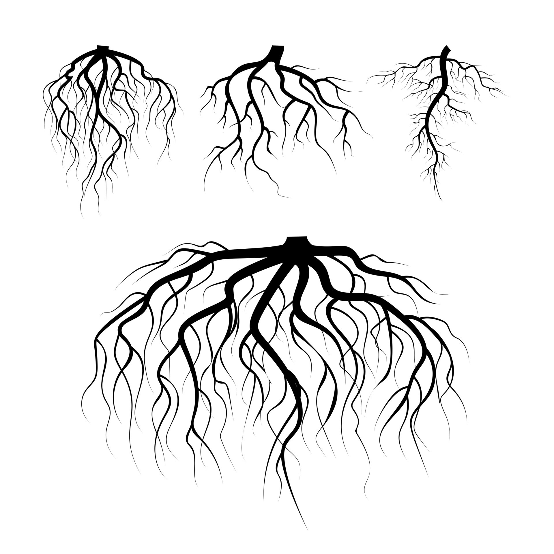 O desenho de uma árvore com uma cara assustadora e uma grande árvore com  raízes.