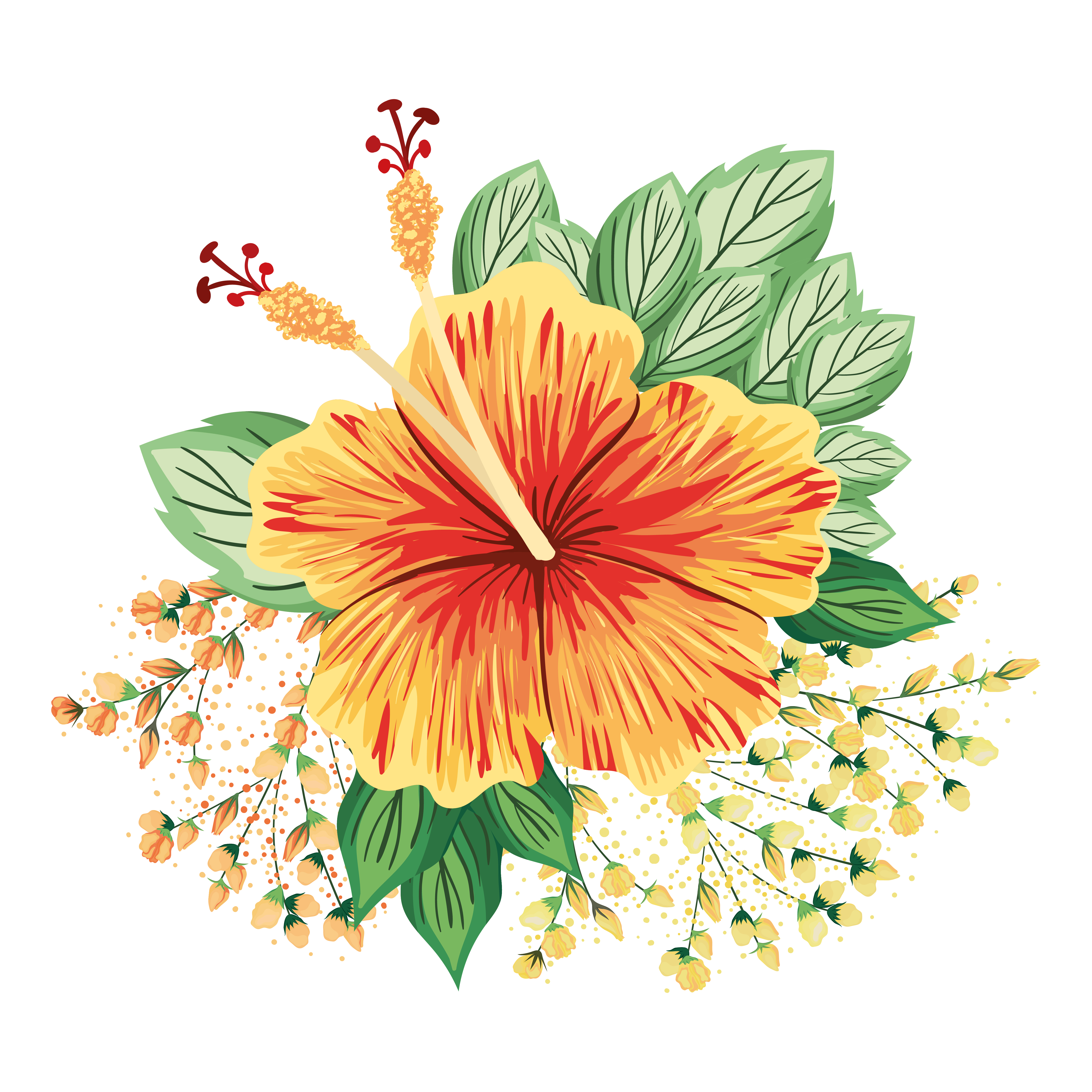 flor havaiana de laranja com botões e folhas pintando 1761088 Vetor no  Vecteezy