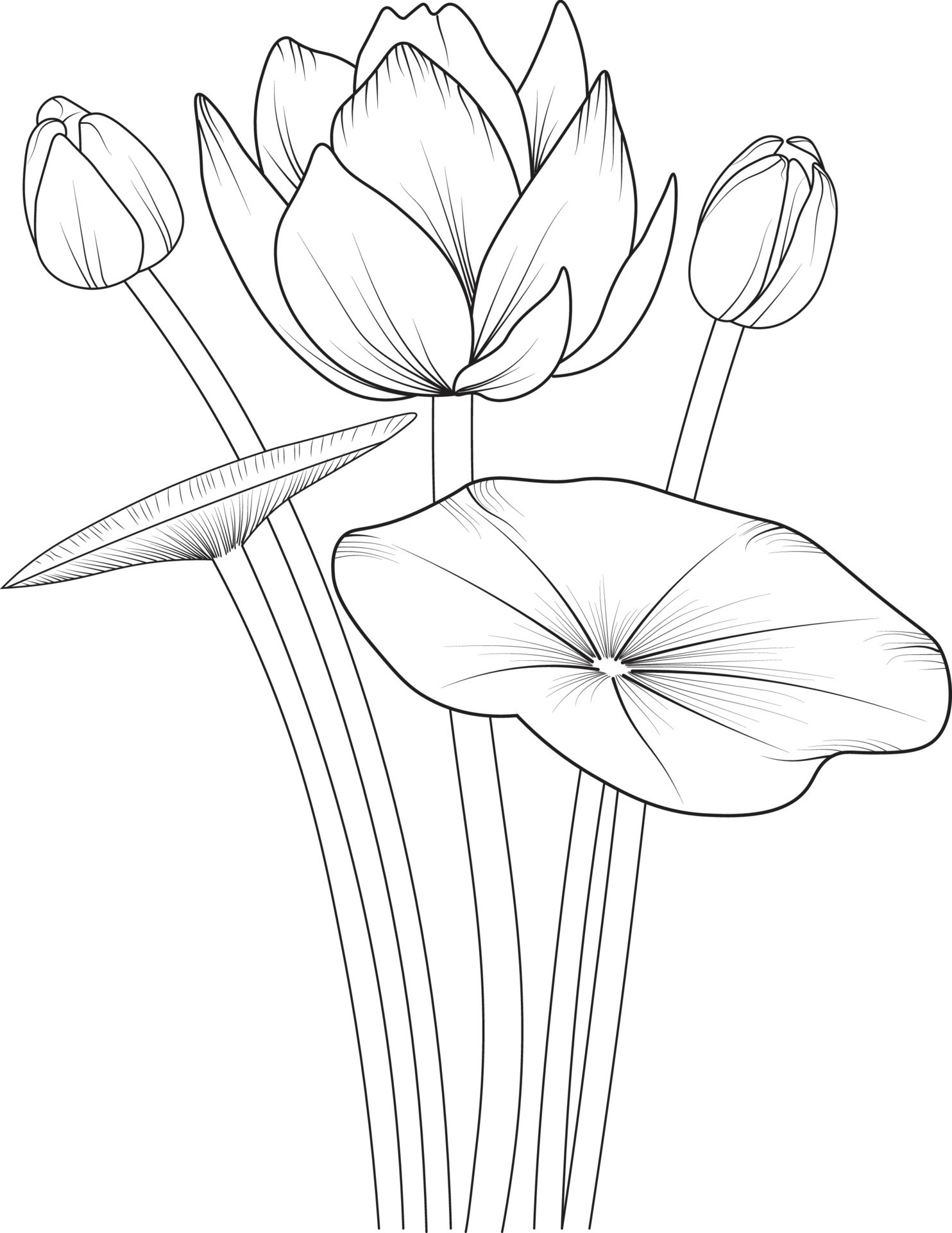 FREE! - Desenho para Colorir com Paisagem de Primavera