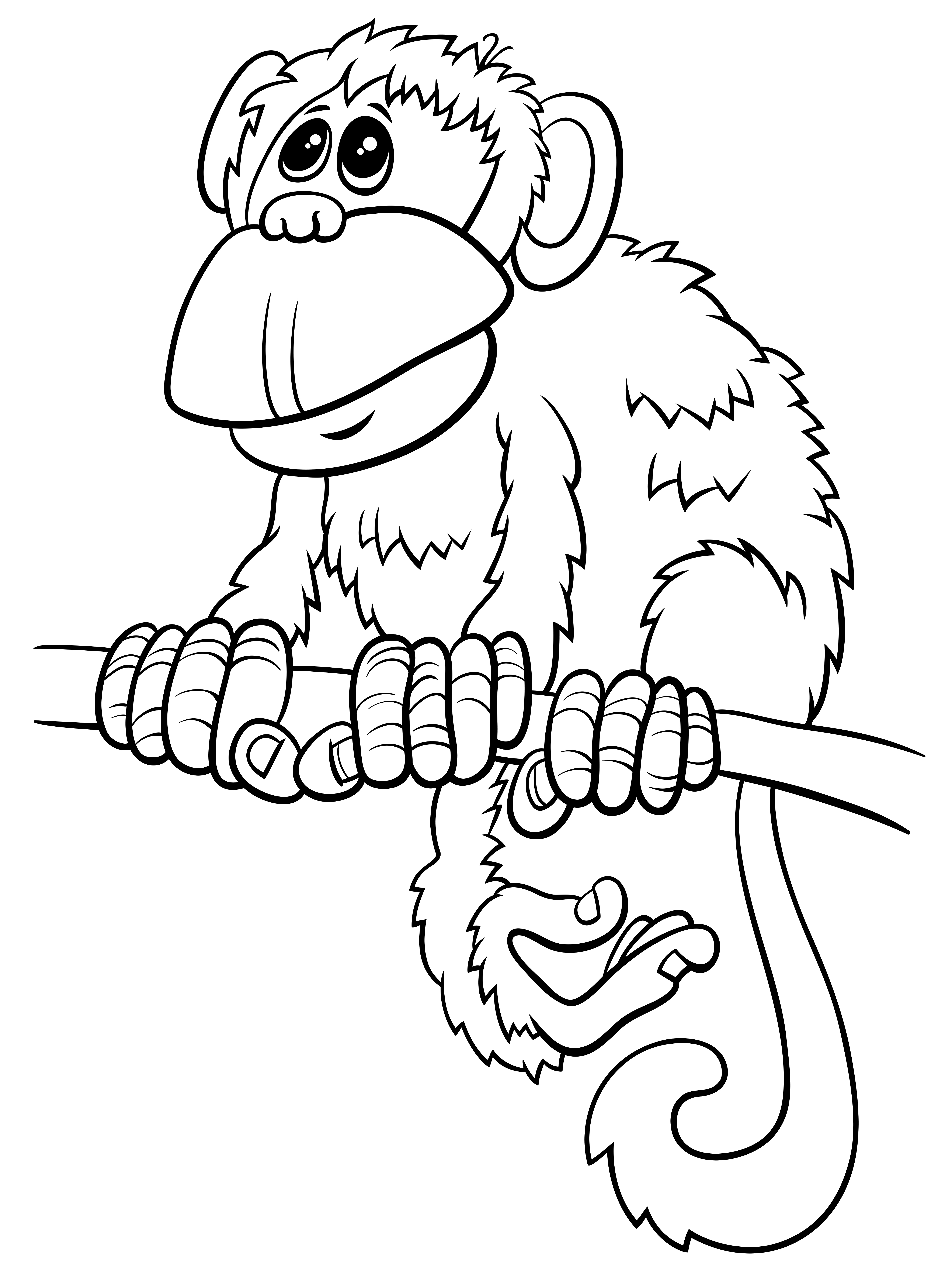 Desenho de macaco da página do livro para colorir