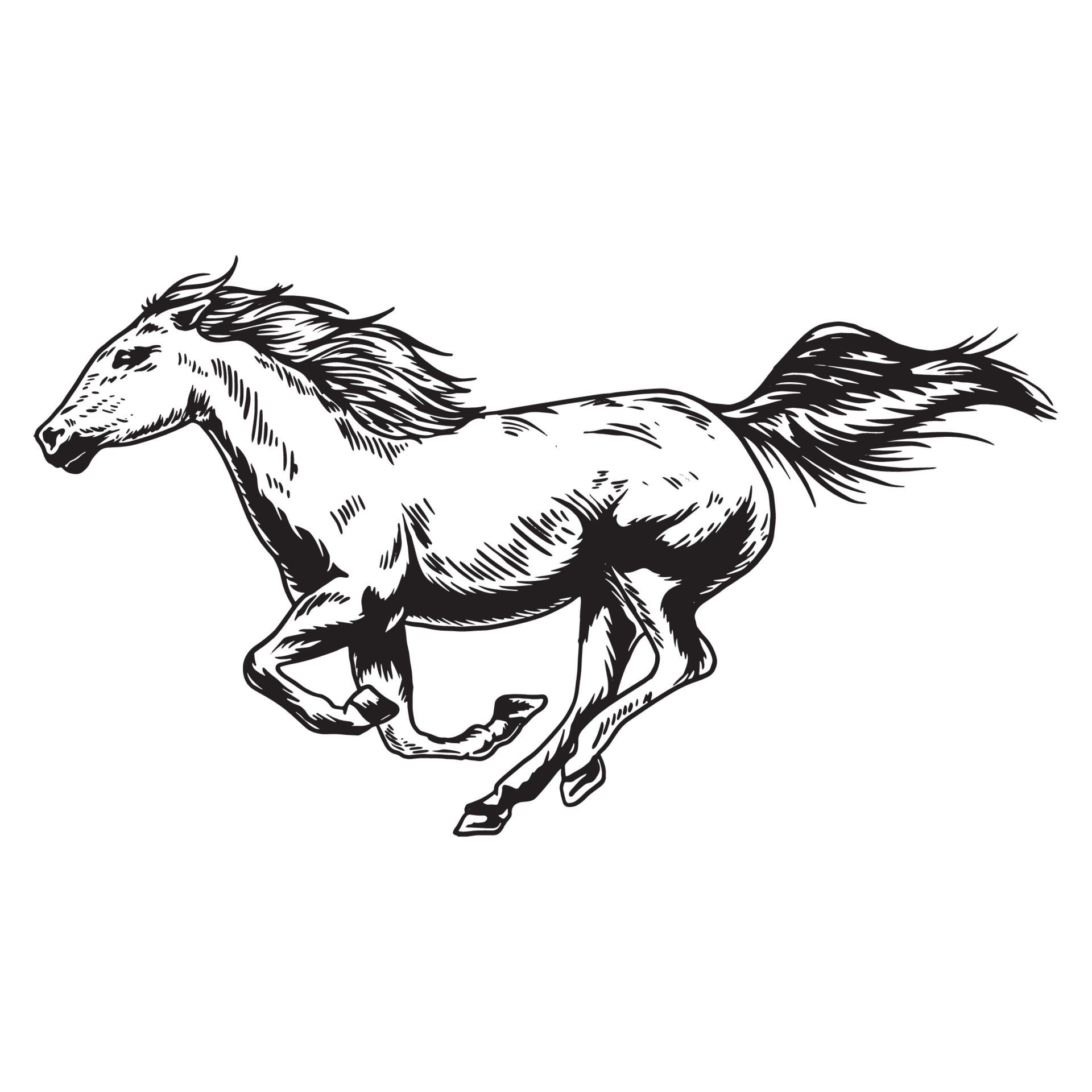 Design PNG E SVG De Cavalo Correndo Realista Desenhado à Mão Para Camisetas