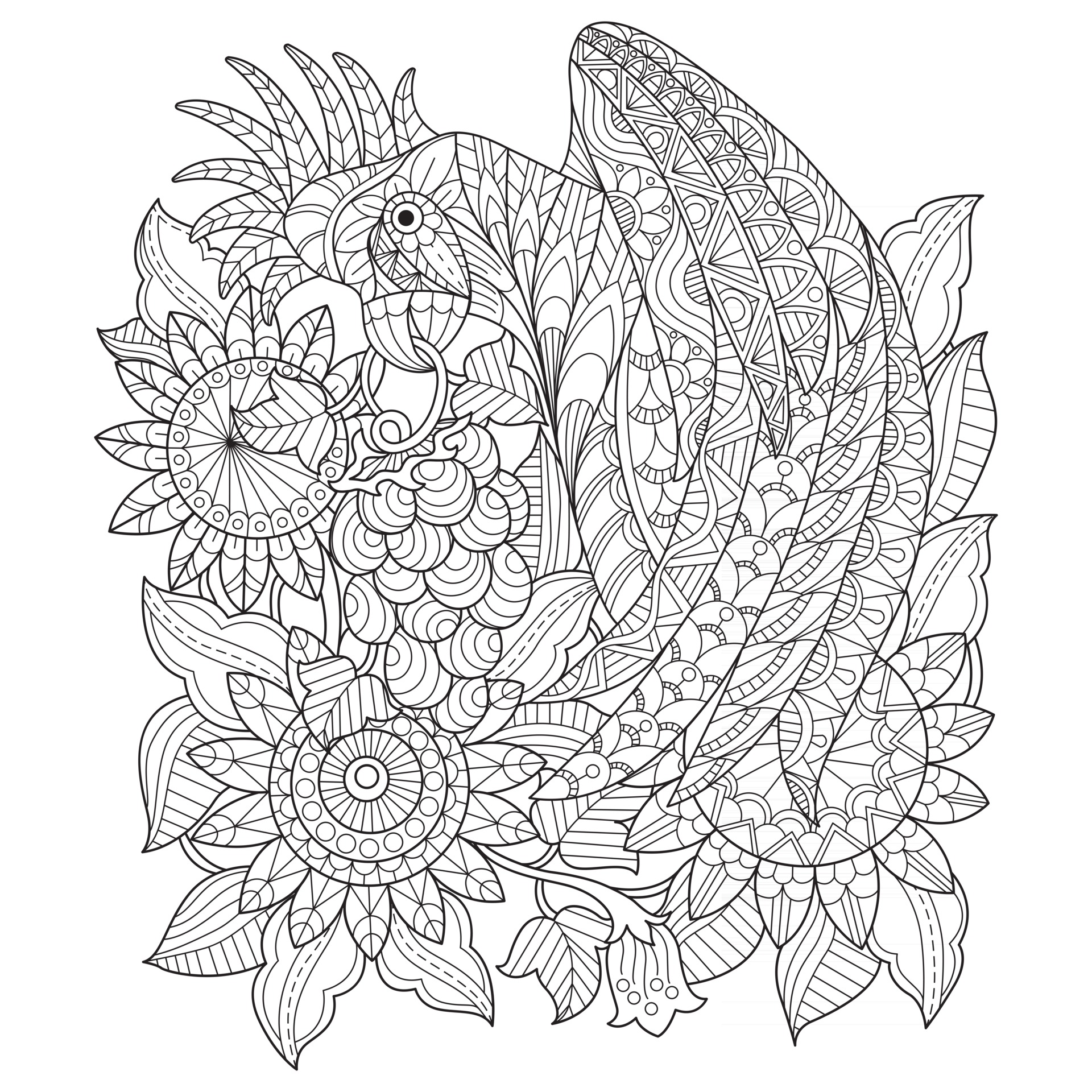 Desenho De Páginas Para Colorir Mandala Papagaio Ilustração