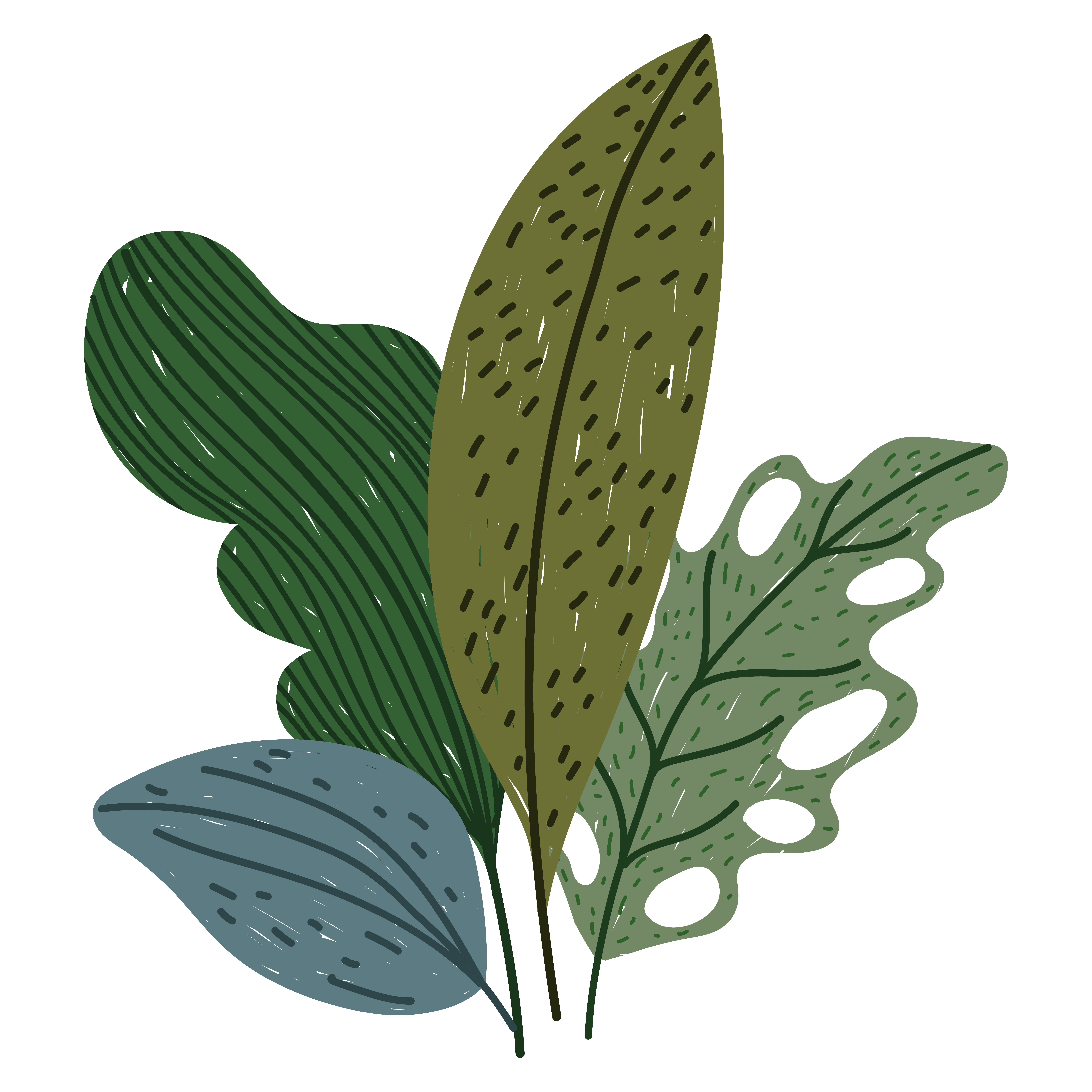 plantas folha folhagem vegetação natural desenho animado 2491368 Vetor no  Vecteezy