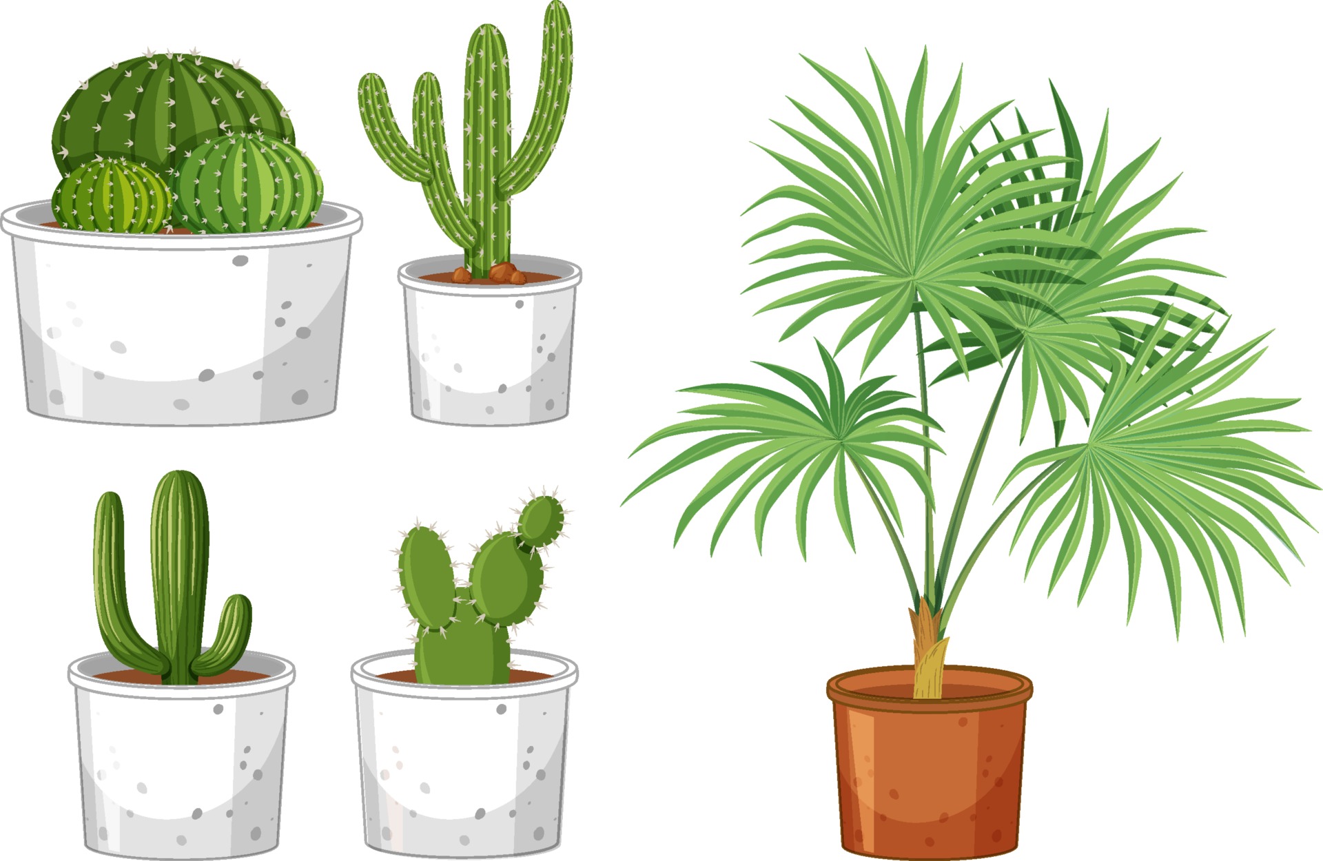 Conjunto de diferentes cactos verdes em pote de desenho em fundo