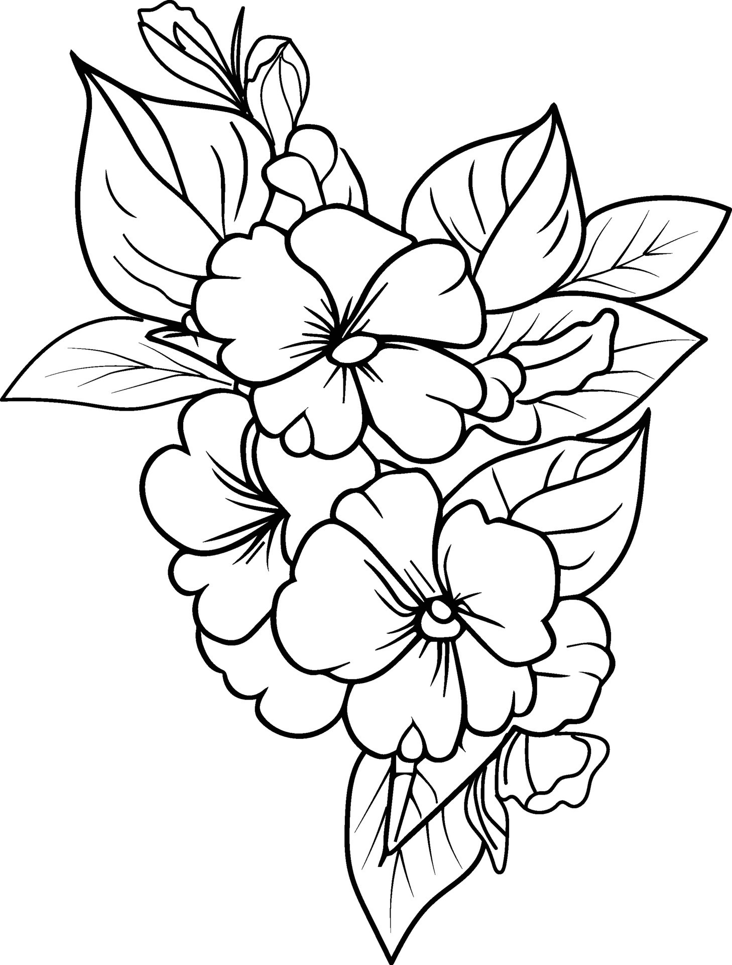 Desenho à mão de uma flor - Flores e vegetação - Coloring Pages for Adults
