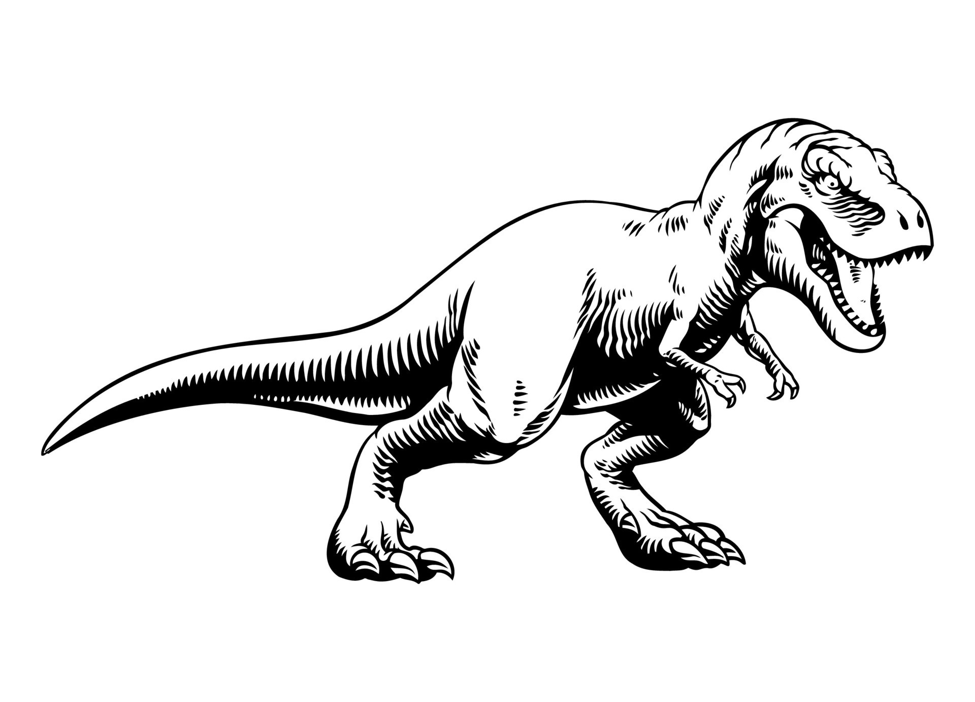 Ilustração da silhueta preto e branco do tyrannosaurus rex trex