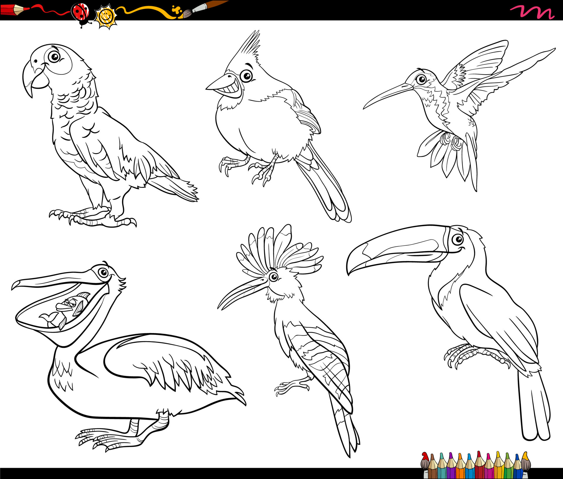 livro de colorir, aves para colorir, desenhando aves, desenhar