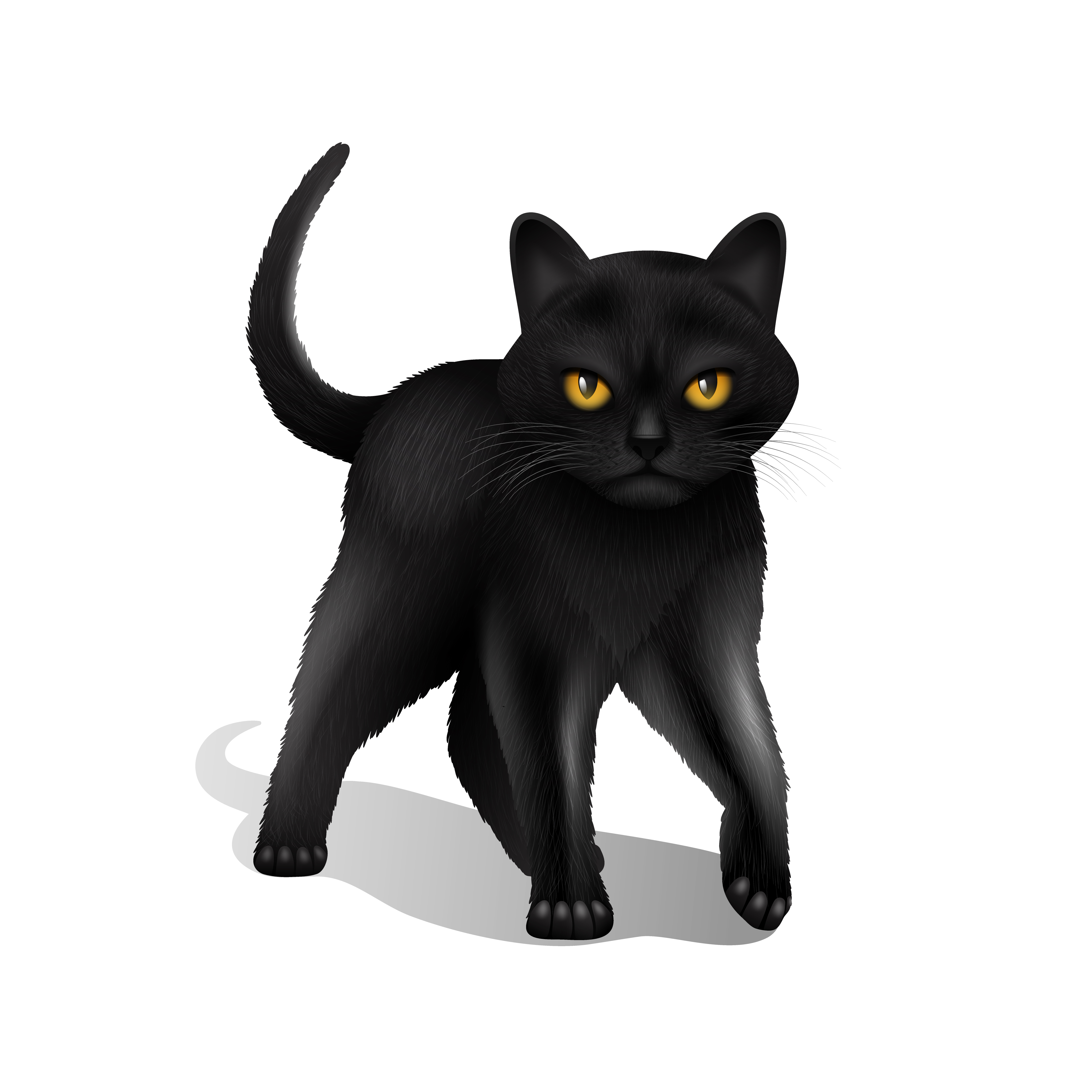 Cabeça de gato bonito realista desenho a preto e branco à mão