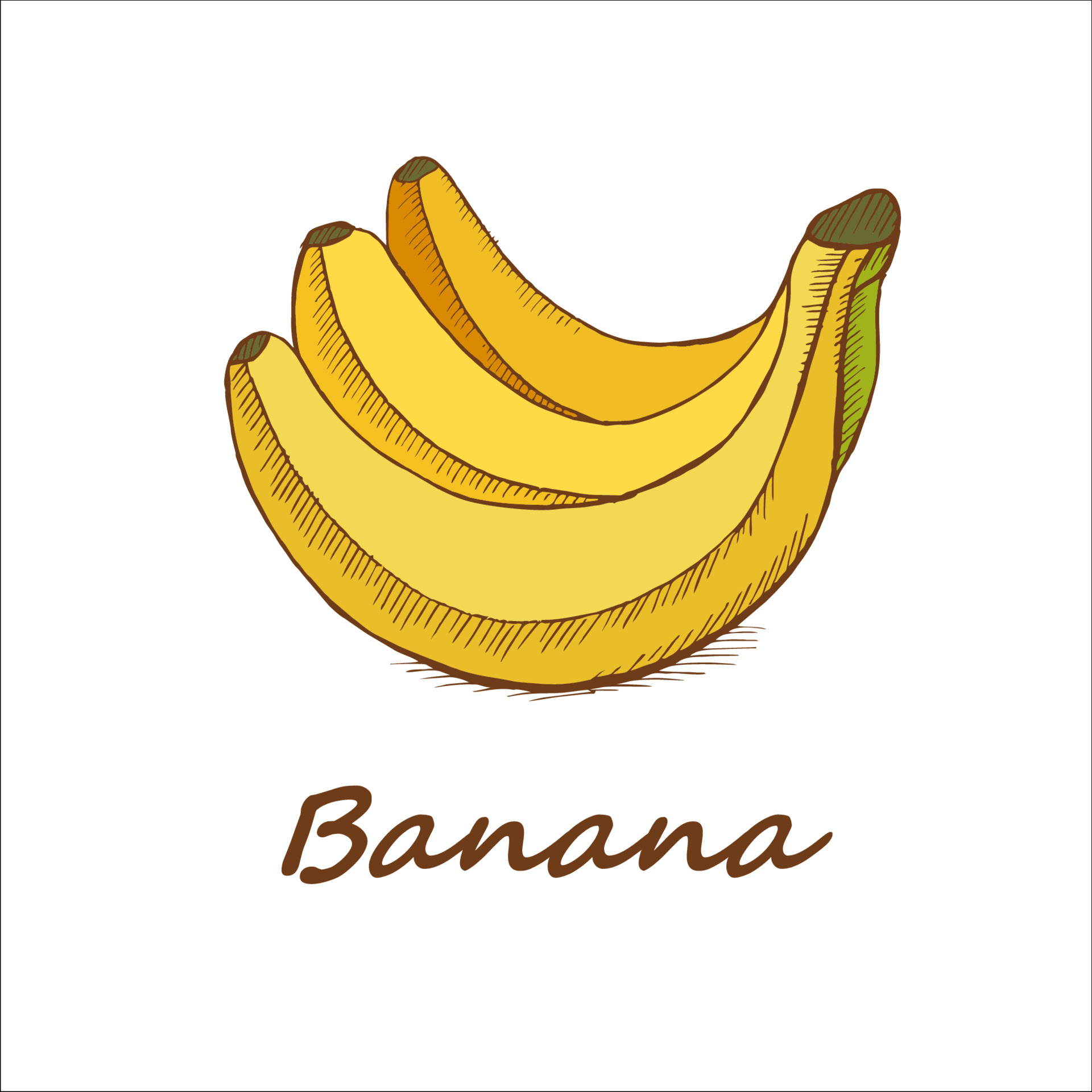 Banana desenho mão vetor ilustração e lettering. Isolado sobre fundo branco  . imagem vetorial de Octyarb© 302834678