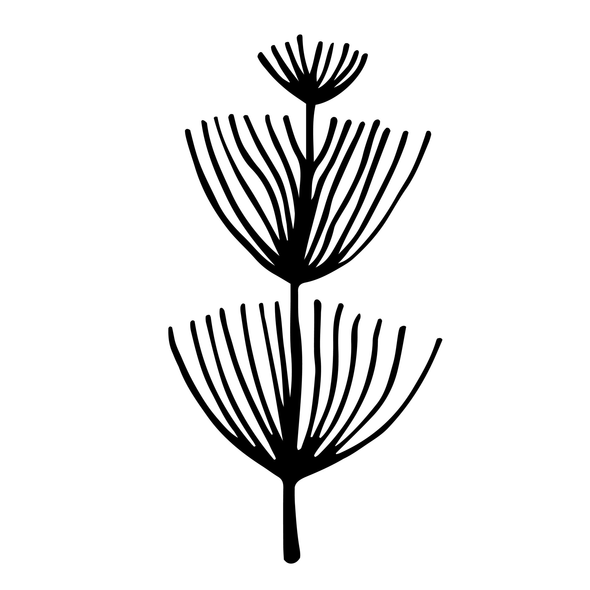 ícone de vetor de planta de campo. ilustração desenhada à mão isolada no  fundo branco. esboço botânico de rabo de cavalo selvagem. caule grosso com folhas  longas e finas. um ramo de