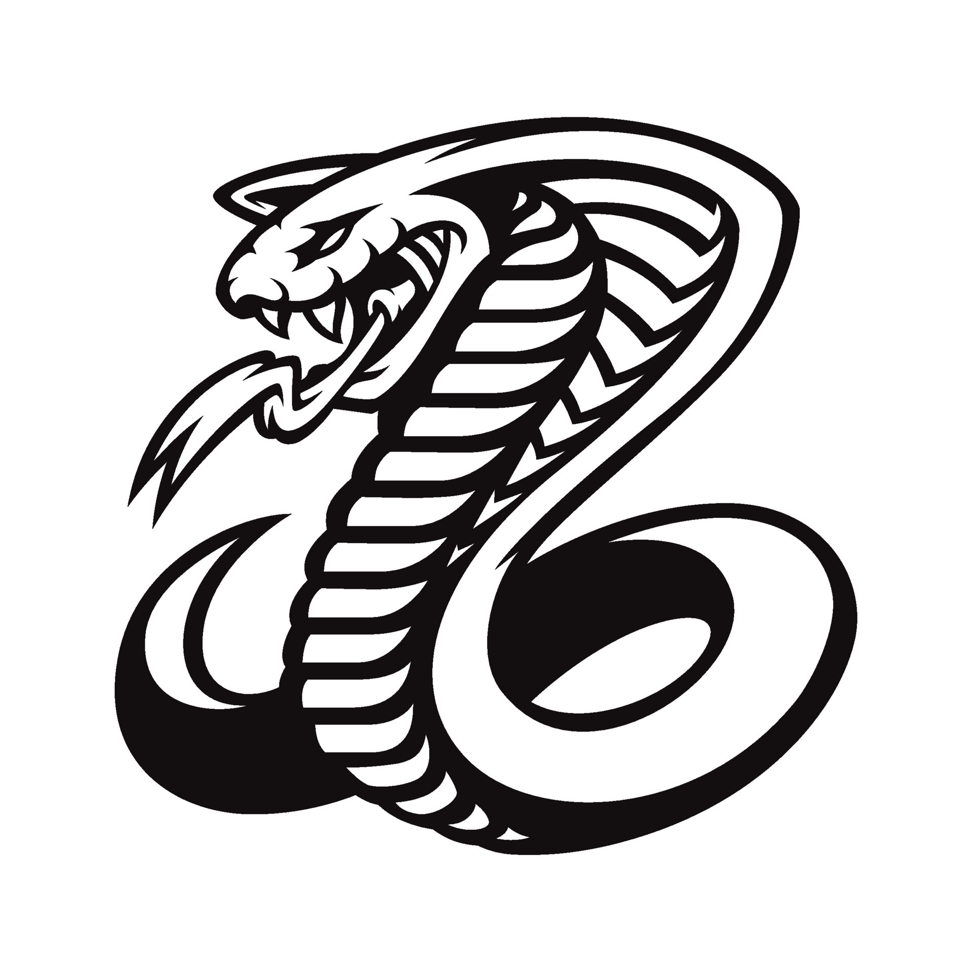 Desenho Uma Cobra Logotipo Forma Uma Cobra vetor(es) de stock de
