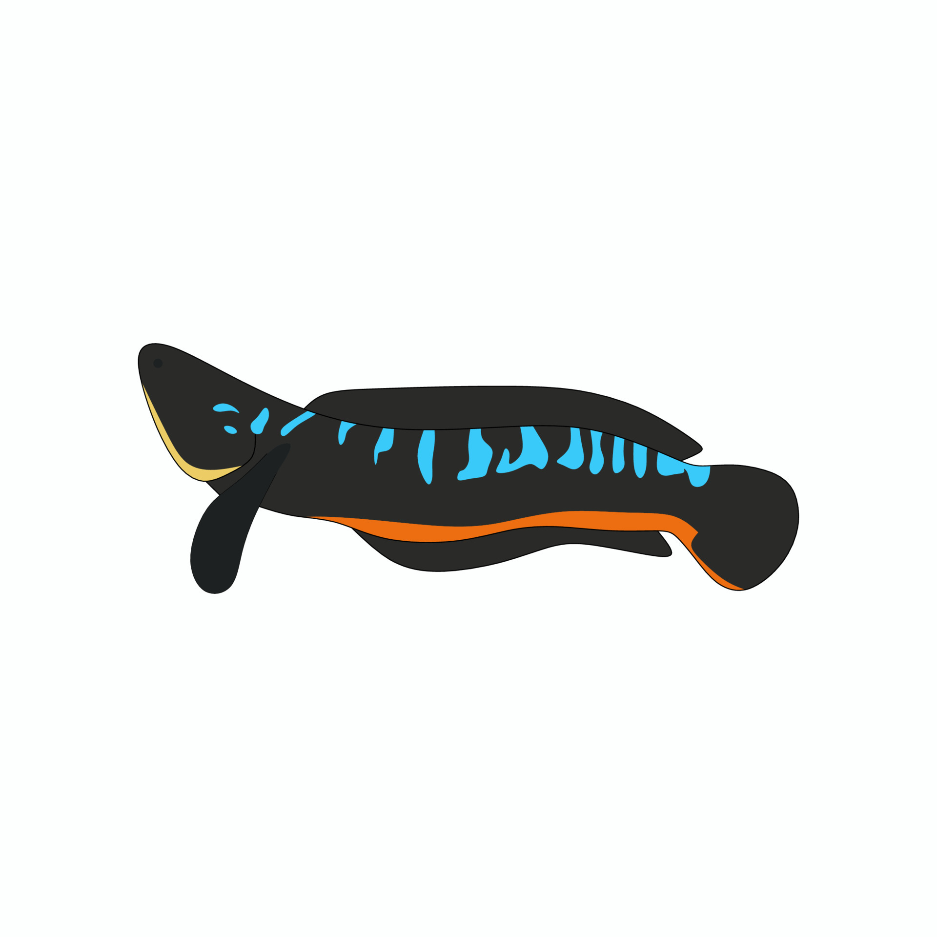 Ilustração de vetor de peixe cabeça de cobra azul bonito dos