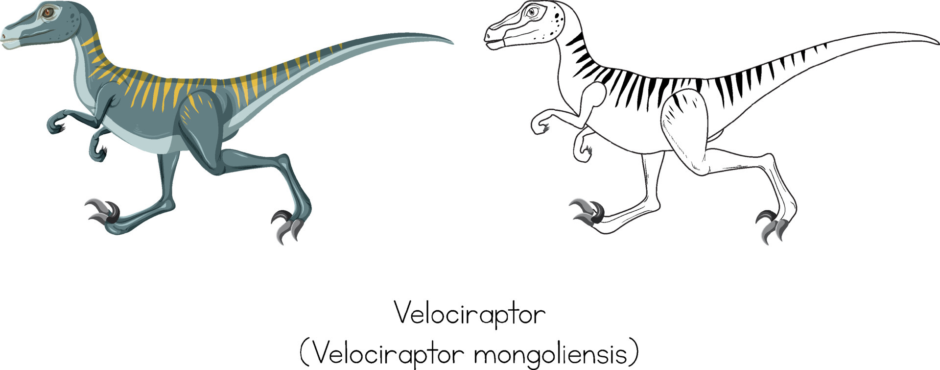 Como desenhar um Dinossauro Velociraptor 
