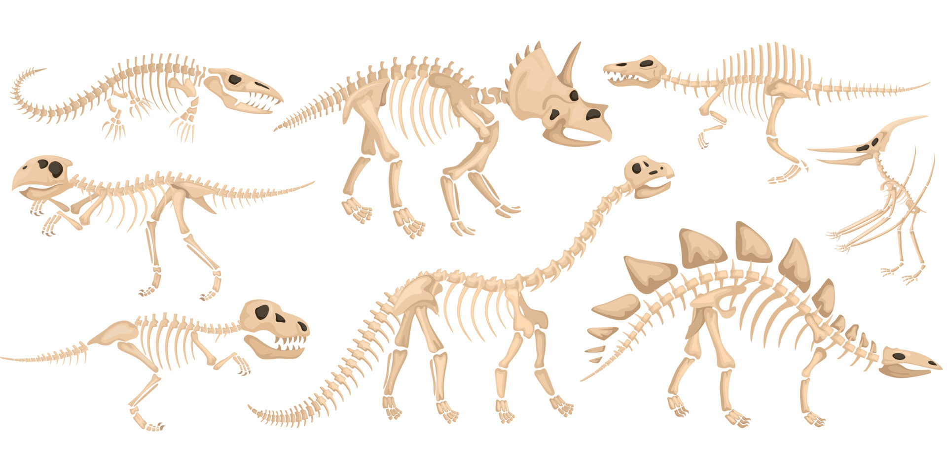 Baixar Vetor De Conjunto De Silhueta De Esqueleto De Dinossauro