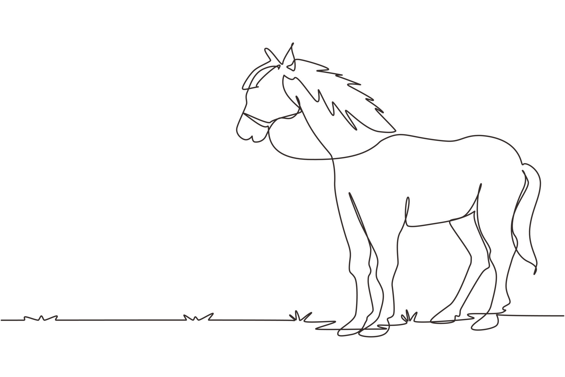 cavalo de desenho contínuo de uma linha parado, sem se mover
