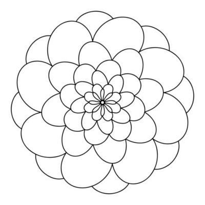 floral, flores de mandala de aster desenhadas à mão em estilo doodle  isolado no fundo branco. página para colorir para adultos e crianças,  decorando a sala de jogos para crianças ou cartão