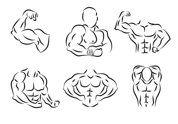 Página 10, Vetores e ilustrações de Musculos do braco para download  gratuito