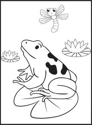 Cobra para Colorir 2  Snake coloring pages, Frog coloring pages