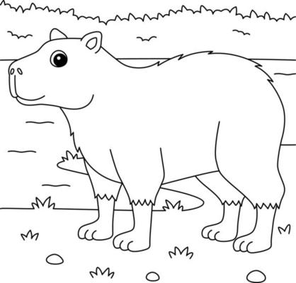 Desenho Para Colorir Animais Capivara Para Crianças Pré Escolares Atividade  imagem vetorial de natchapohn© 354004096