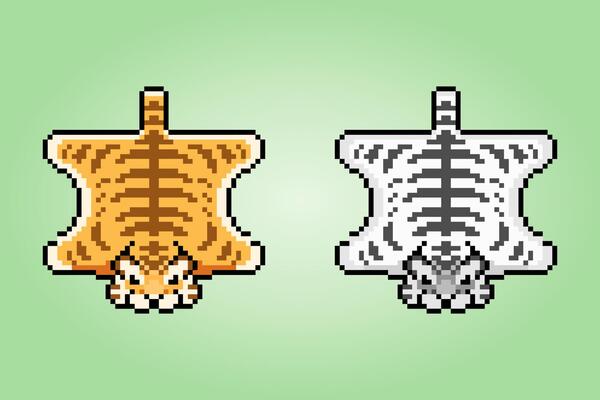 Pixel de 8 bits de papagaios animais de pixel para ativos de jogos e  padrões de ponto cruz em vetor